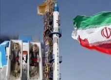 إيران ترسل قردا إلى الفضاء وتعيده سالما