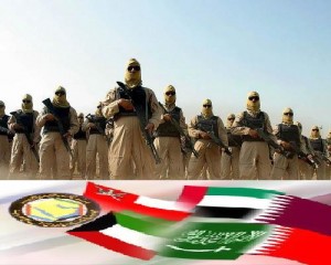 مصدر عسكري في الدفاع: تصريحات القائد الإيراني وصفا من الخيال