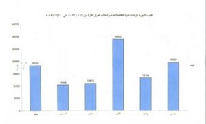 تحرير 3260 مخالفة للباعة الجائلين في الفروانية