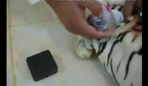 بالفيديو.. إكتشاف سحر بإحدى دمى الأطفال وصور المسحور بداخلها
