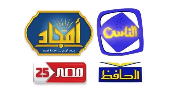 وقف بث قنوات موالية لمرسي بعد لحظات من بيان السيسي