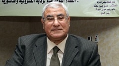 الرئيس المصري المؤقت: لاعودة إلى الوراء .. نتمنى السلام ونمد يدنا به