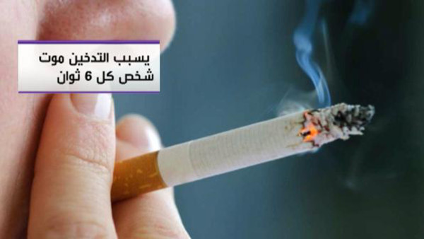 التدخين يقتل شخصاً كل 6 ثوان