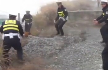 فيديو طريف:الشرطة الصينية تطارد 3 آلاف دجاجة على طريقٍ سريع
