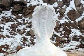 ‘الأبيض’ يكسو تبوك