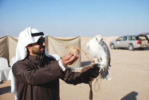 شرار: الإقبال الجماهيري على مهرجان الموروث الشعبي لم يكن متوقعاً