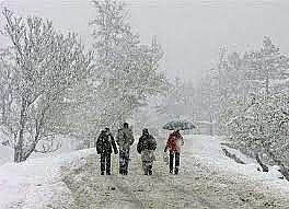 الثلوج تجتاح افغانستان :مقتل عشرة اشخاص ونفوق الف رأس غنم