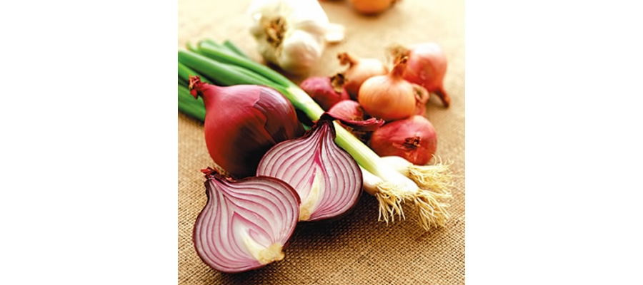 الأمراض التي يعالجها البصل