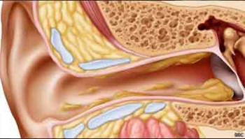 خمسة أسرار لا نعرفها عن شمع الأذن