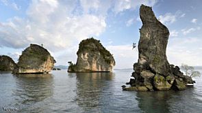 زلزال بقوة 7.8 قبالة ساحل غينيا الجديدة