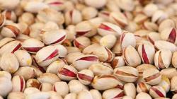 تركيا تعتزم بناء أول مدينة تعتمد على قشر الفستق للتدفئة