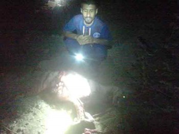 بالصور.. سعودي يقتل “ضبعاً” أرعب الأهالي وفتك بالمواشي