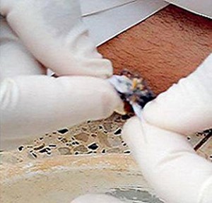 إبطال سحر الـ 4 أعوام في 3 ساعات