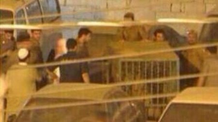 بالصور.. أسد يقفز في محايل عسير.. والأمن يستنفر