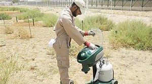 أبوظبي: الكشف عن ذبابة تنتشر ليلاً وتمص الدماء