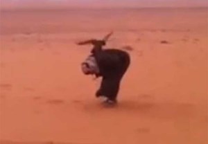 فيديو: طير الحر غضب من صاحبه السعودي أثناء تدريبه.. شاهد ماذا فعل
