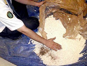 إحباط تهريب أكثر من عشرة ملايين حبة كبتاجون بالسعودية