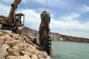 الغوص يرفع شباك صيد عالقة بجزيرة قاروه