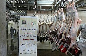 إحياء التراث تطرح مشروع الأضاحي