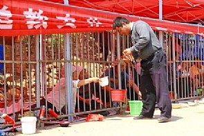 واشنطن قلقة من وضع حقوق الانسان في بكين