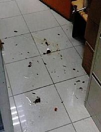 وافد يعتدي على صيدلي لرفضه صرف دواء بدون طابع