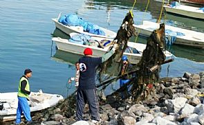 الغوص يستكمل تنظيف الواجهة البحرية لنقعة الشملان