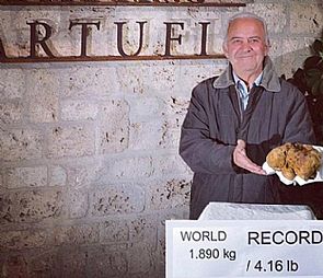 الخليجيون يتنافسون على ‘أكبر كمأة بالعالم’