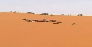 فيديو لمغامرات شباب في السعودية تهدد حياتهم