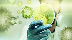 علماء: تغيرات المناخ قد تؤدي إلى تطور الفيروسات