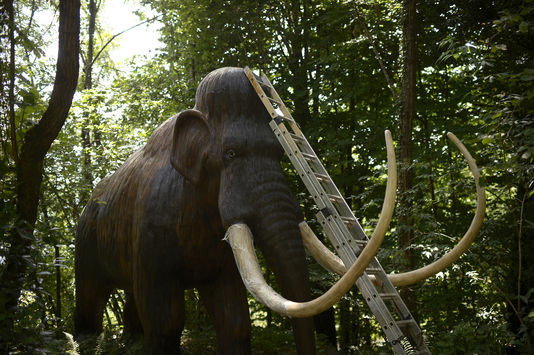 الماموث قد يعود إلى الحياة