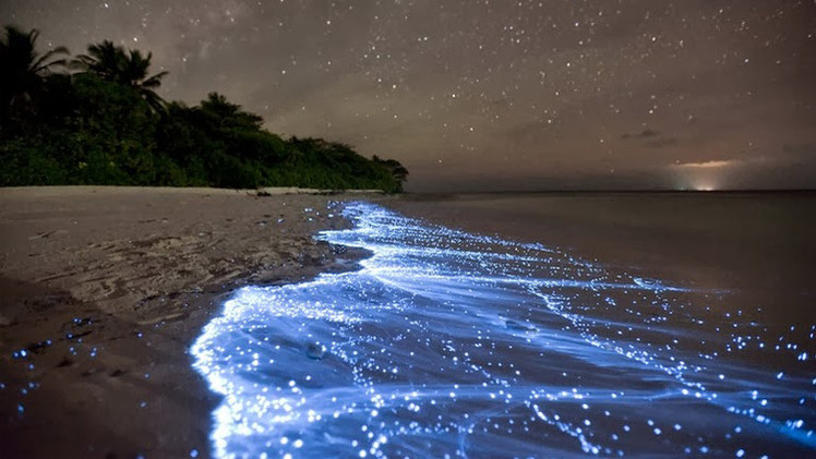 7 مشاهد يصعب تصديق وجودها في هذا العالم