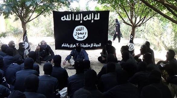 العراق: مقتل نائب “والي” داعش في كركوك