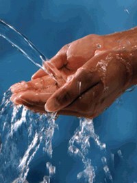 الوضوء يقيك من الأمراض