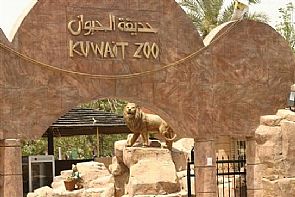 هروب القردة من حديقة الحيوان.. إشااااااعة