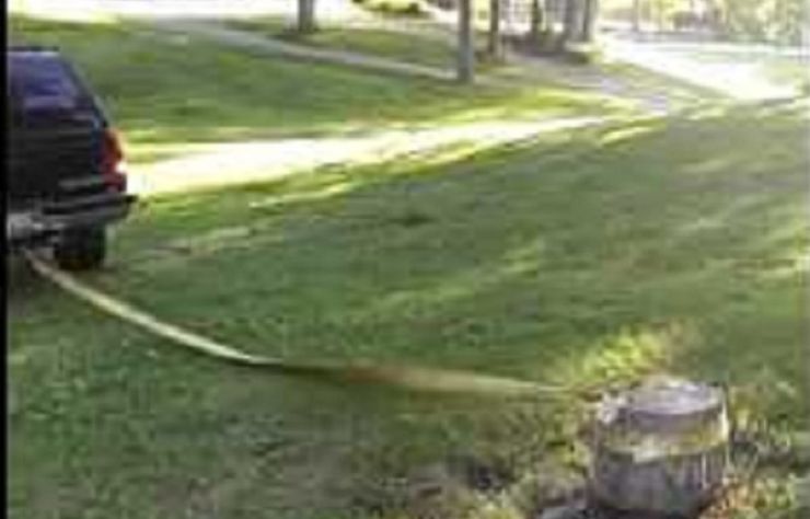 فيديو: سائق حاول خلع جذع شجرة بسيارته فكانت النتيجة الكارثية