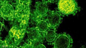 كوريا الشمالية : أنتجنا علاجاً للإيدز وإيبولا وكورونا