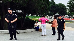 سرب من آلاف النحل يحتل مدخل الكونغرس