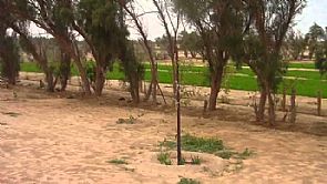 3 مجهولون يسلبون مصري بالسالمية