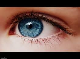 انظر الى عيون محدثك إذا كنت تريد معرفة بماذا يفكر