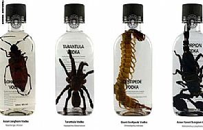 أطباق ومشروبات الحشرات تغزو أسيا