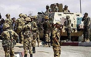 القبض على تنظيما إرهابيا في مصر