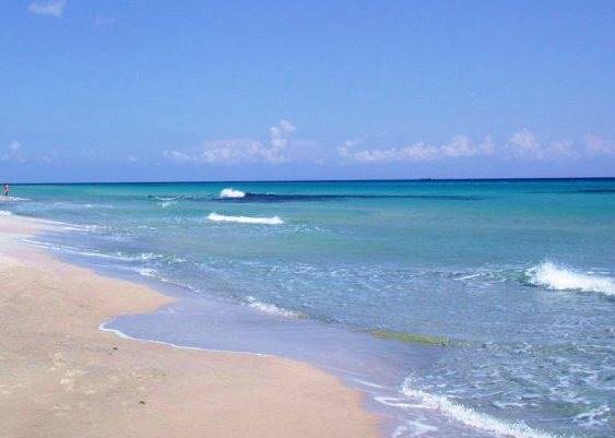 شواطئ المهدية التونسية تلفظ جرة تضم هيكلا عظميا لطفل من عصر قرطاج