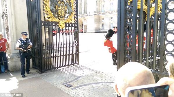 فيديو: لحظة سقوط أحد حراس الملكة إليزابيث