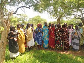 الهيئة الخيرية تملك 113 أسرة بجنوب كردفان مشروعات إنتاجية