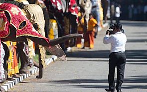 فيل يقتل مصوراً صحفياً في سريلانكا