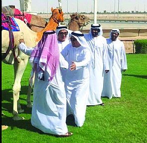 مطاردات جاكي شان تغلق ‘برج خليفة بوليفارد’