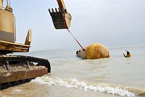 الغوص يرفع 10 أطنان مخلفات من ساحل الفحيحيل