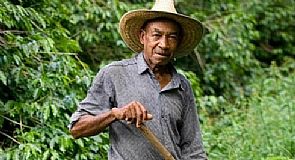 مزارع كولومبي يعثر على 600 مليون دولار