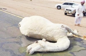 2042e764-5d02-474c-973f-f2ef611f3851