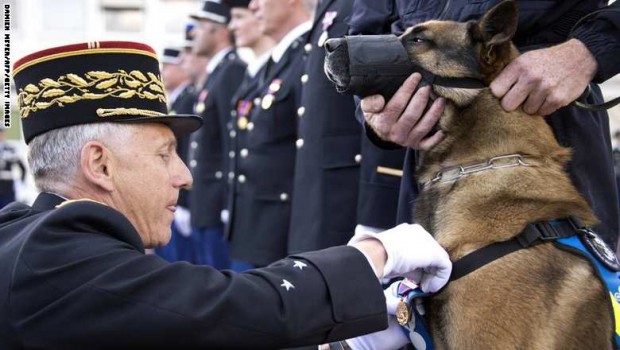 حملة تضامنية واسعة بهاشتاج أنا كلب بعد قتل إرهابيين كلبة بوليسية بباريس